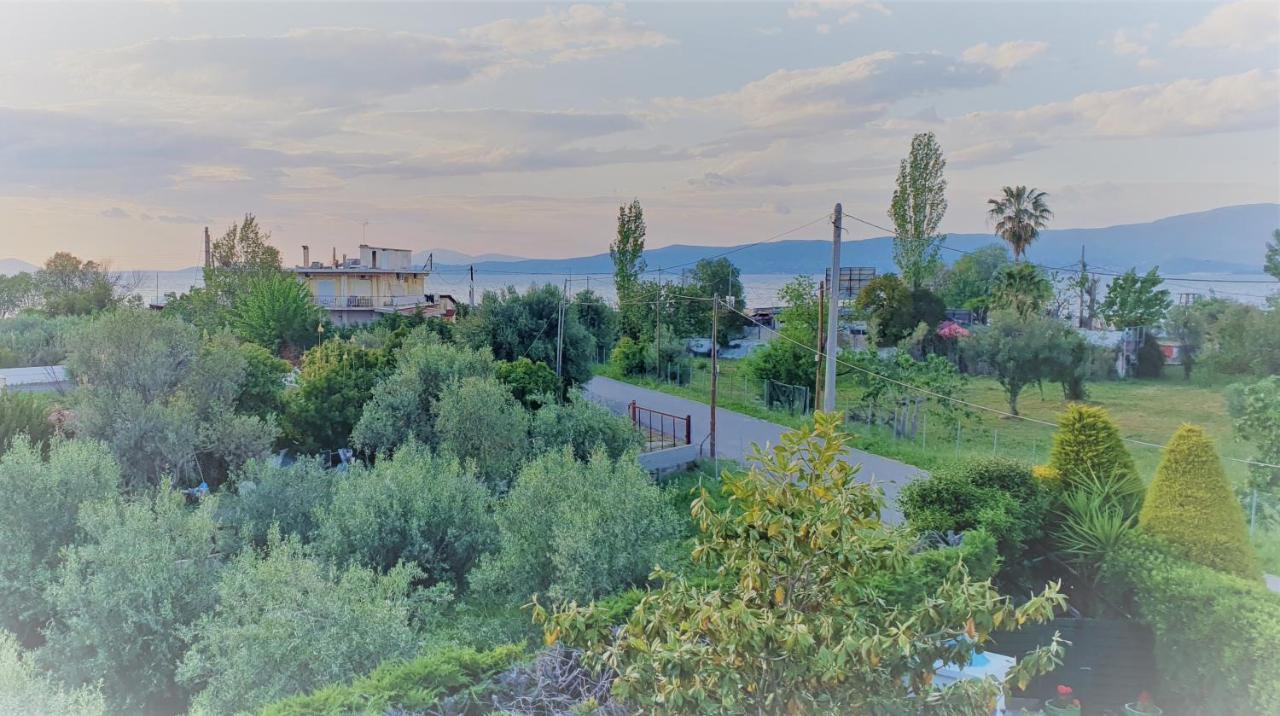 Vacation And Relaxation Home Oropos Nea Palatia Dış mekan fotoğraf